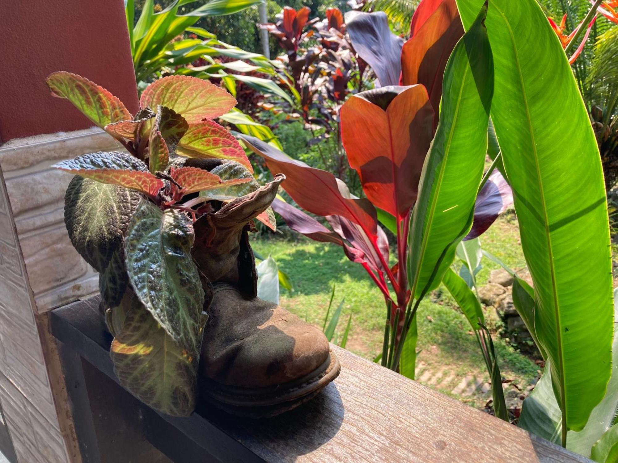 Casa Arariba - Ilha Grande - Abraão Kültér fotó
